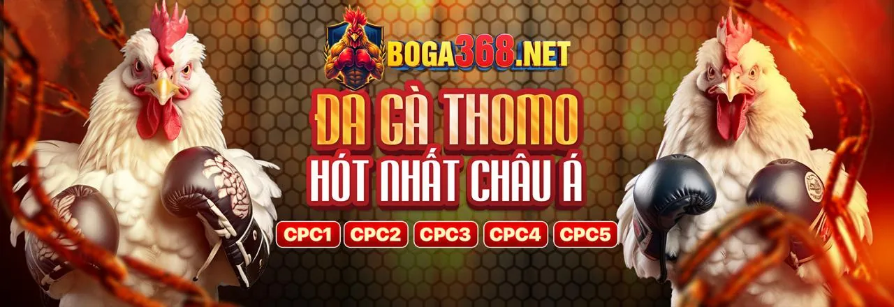 Đá gà trực tuyến 789be